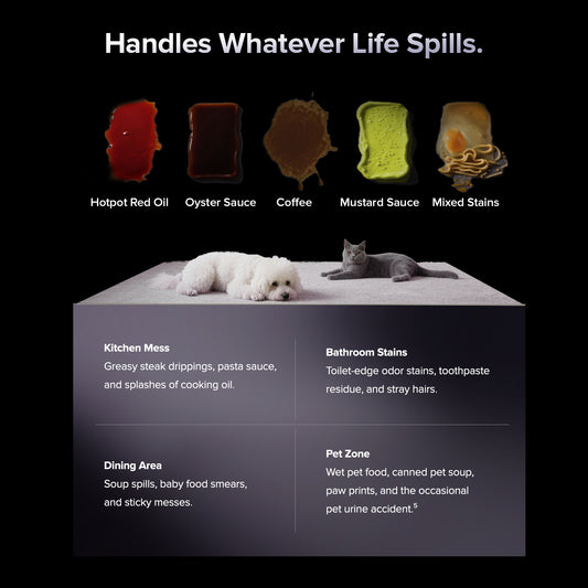 Roborock F25 ACE Pro