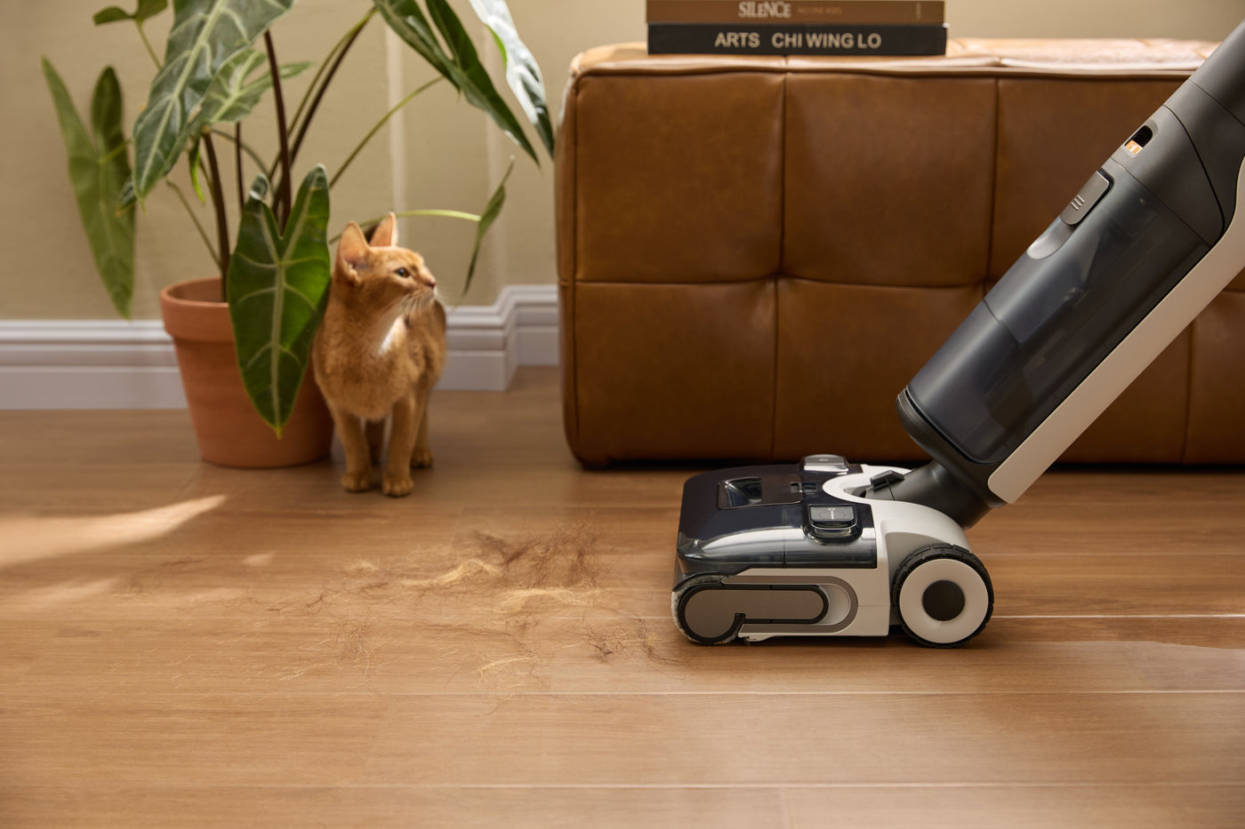 Wet & Dry Vacuum