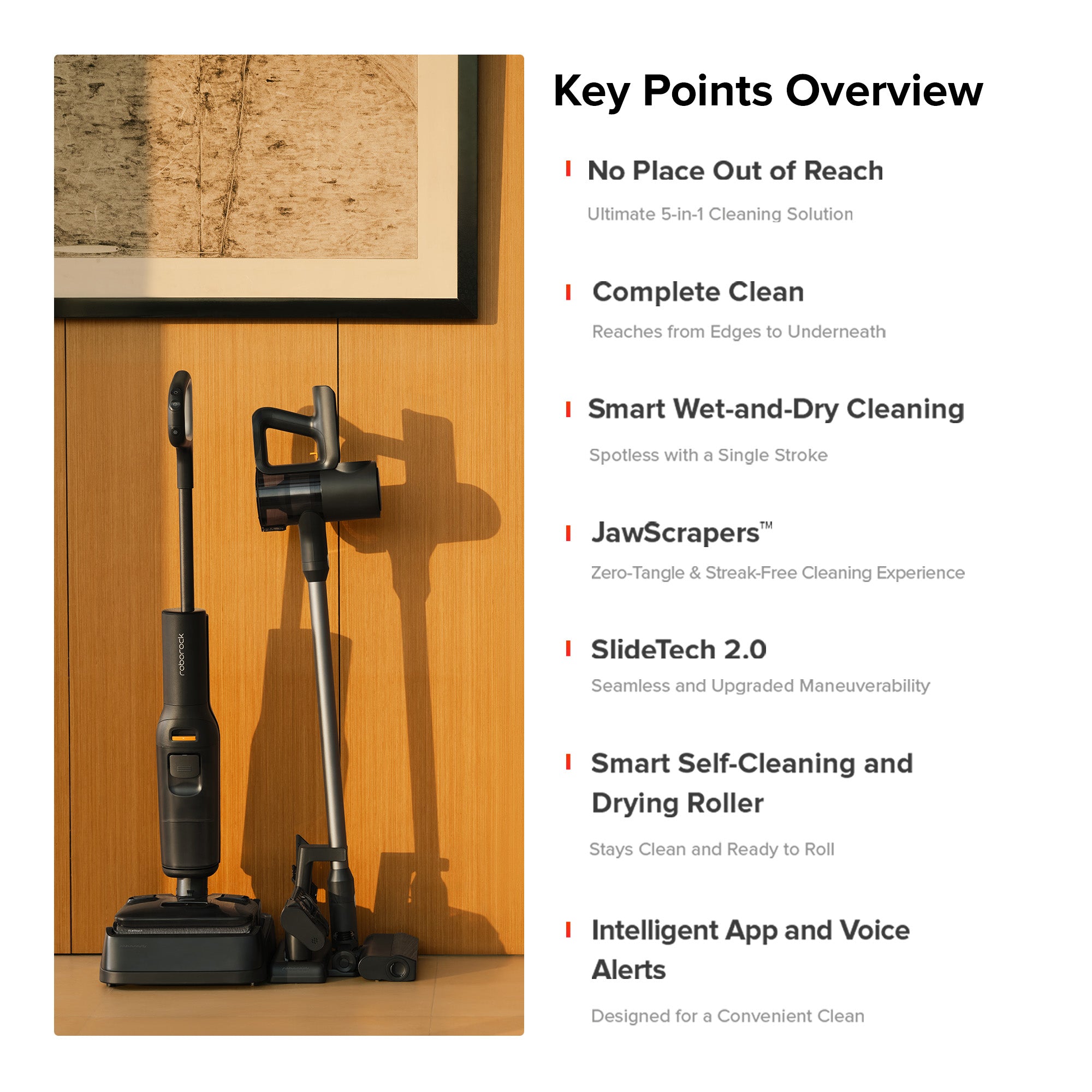 Roborock F25 ACE Combo