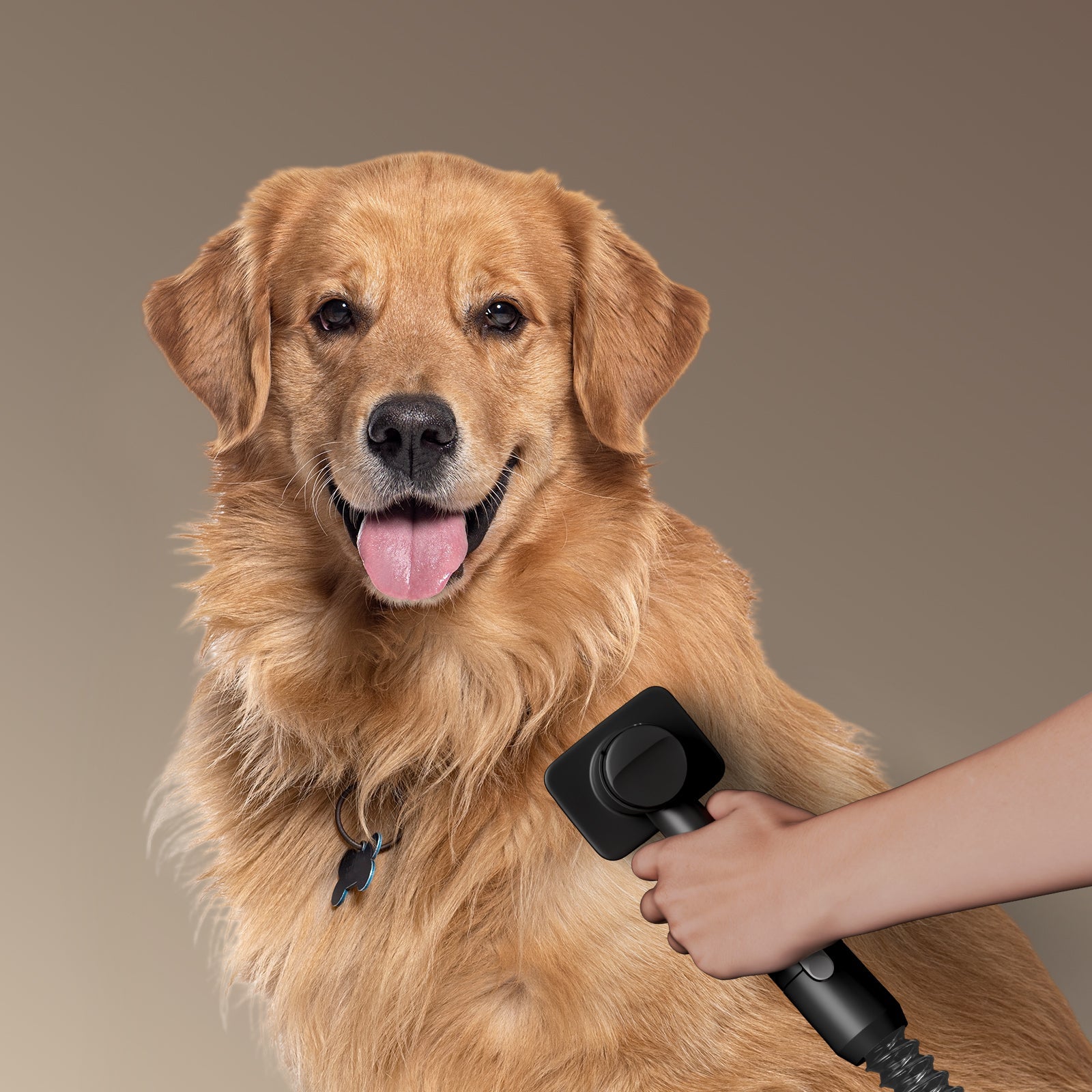 Pet Grooming Set For Roborock H60 Ultra